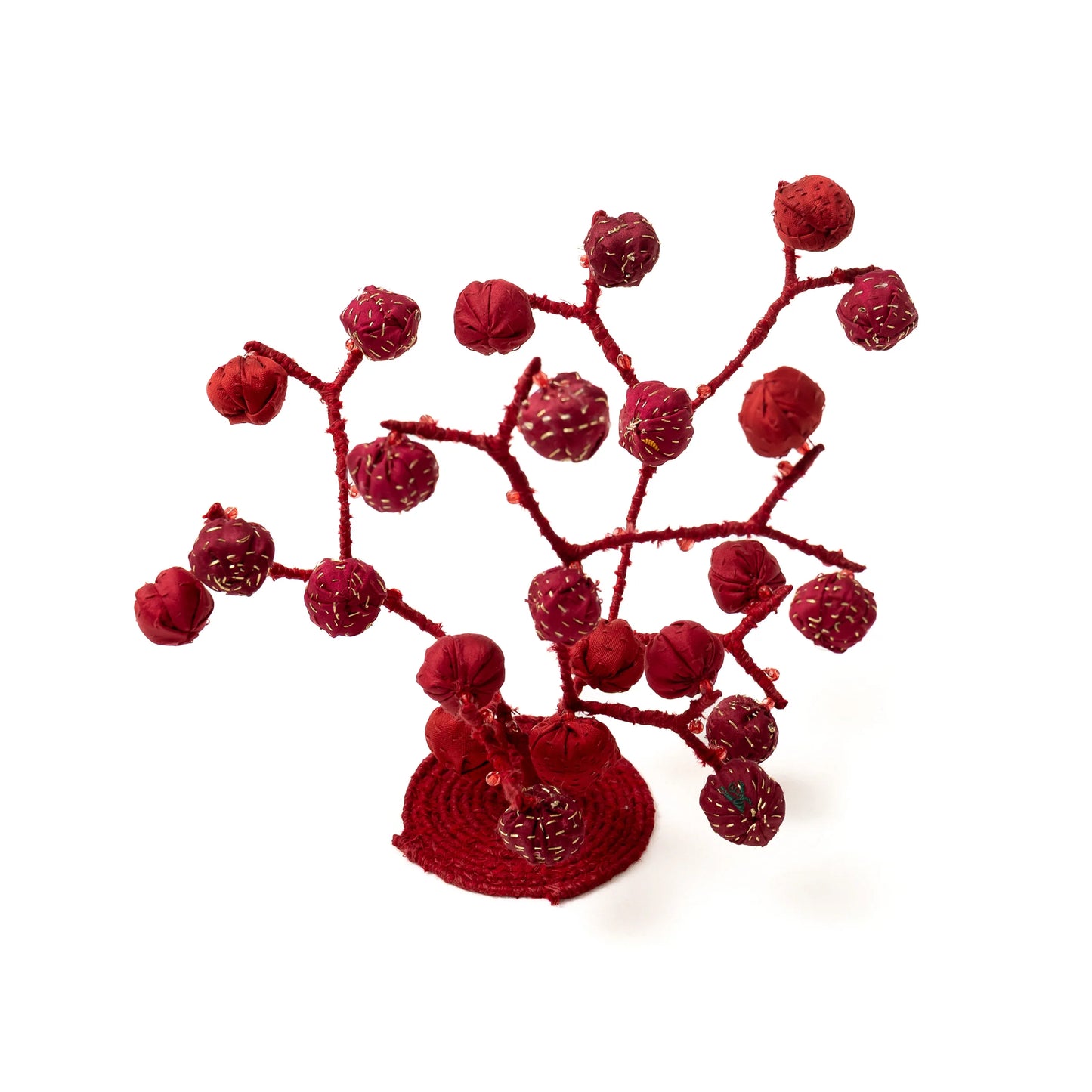 Red Twig Tree